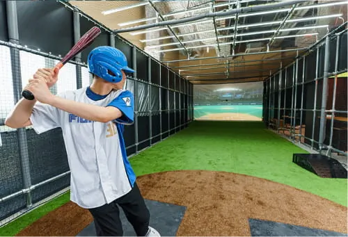 tower eleven baseball