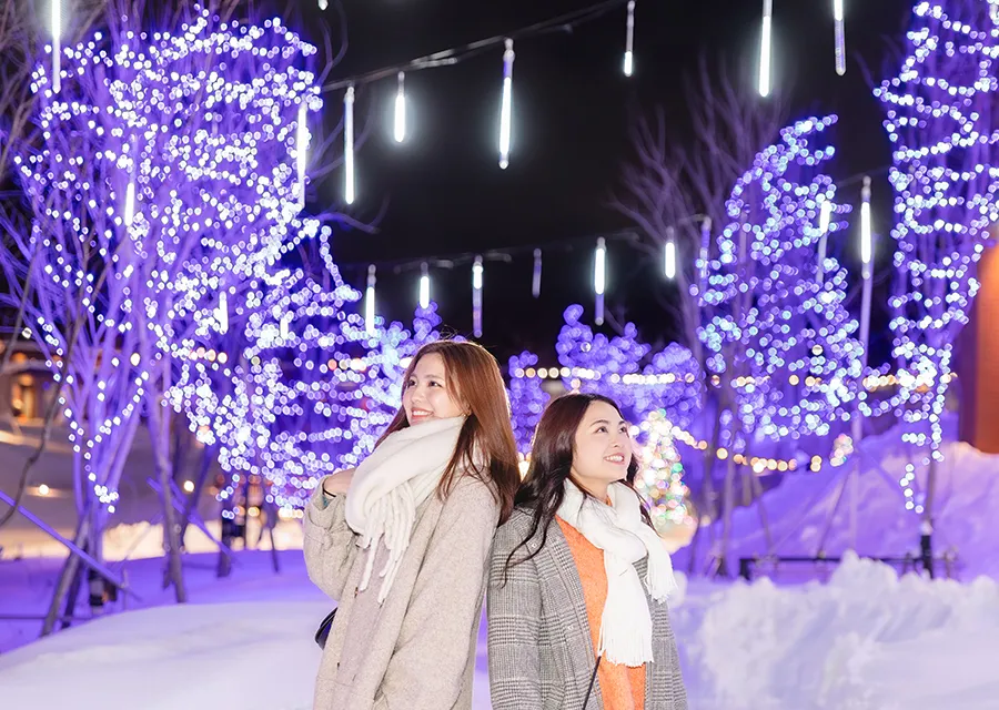 F VILLAGE WINTER ILLUMINATION